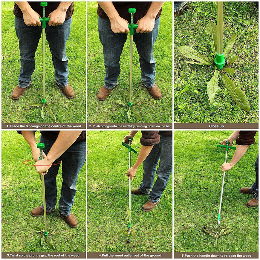 Long handled weed remover