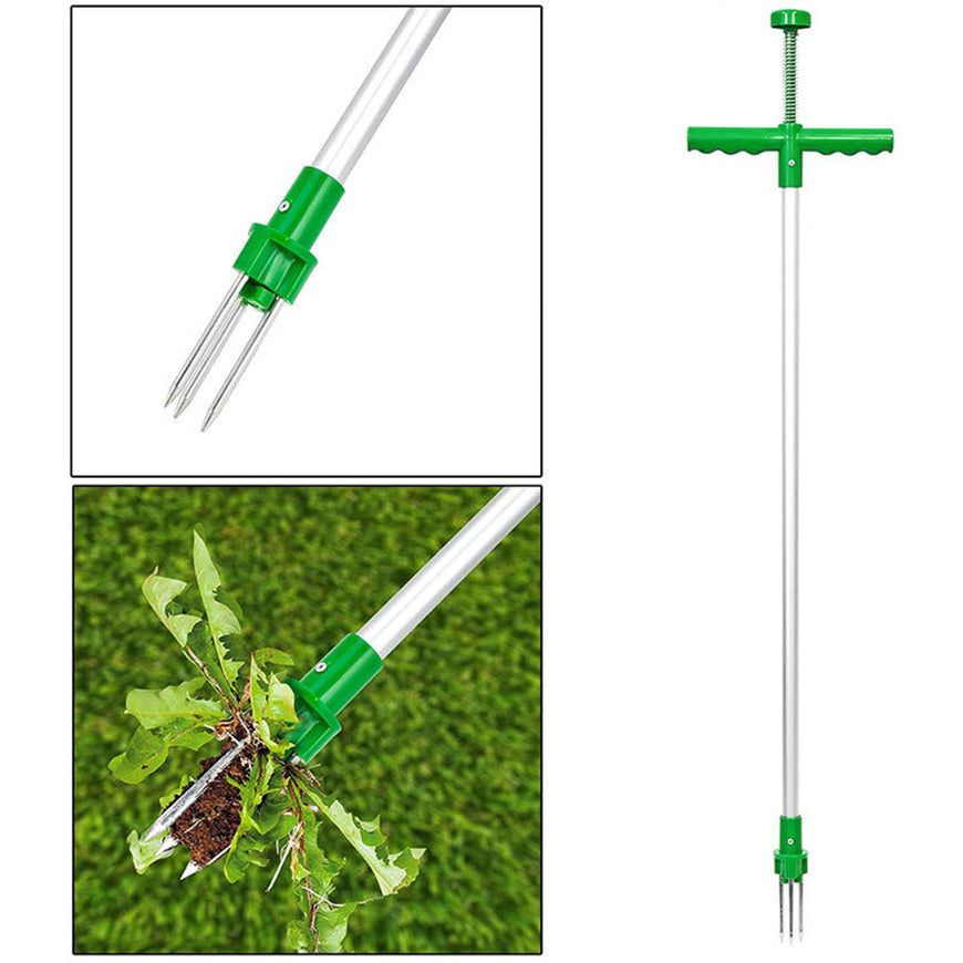 Long handled weed remover