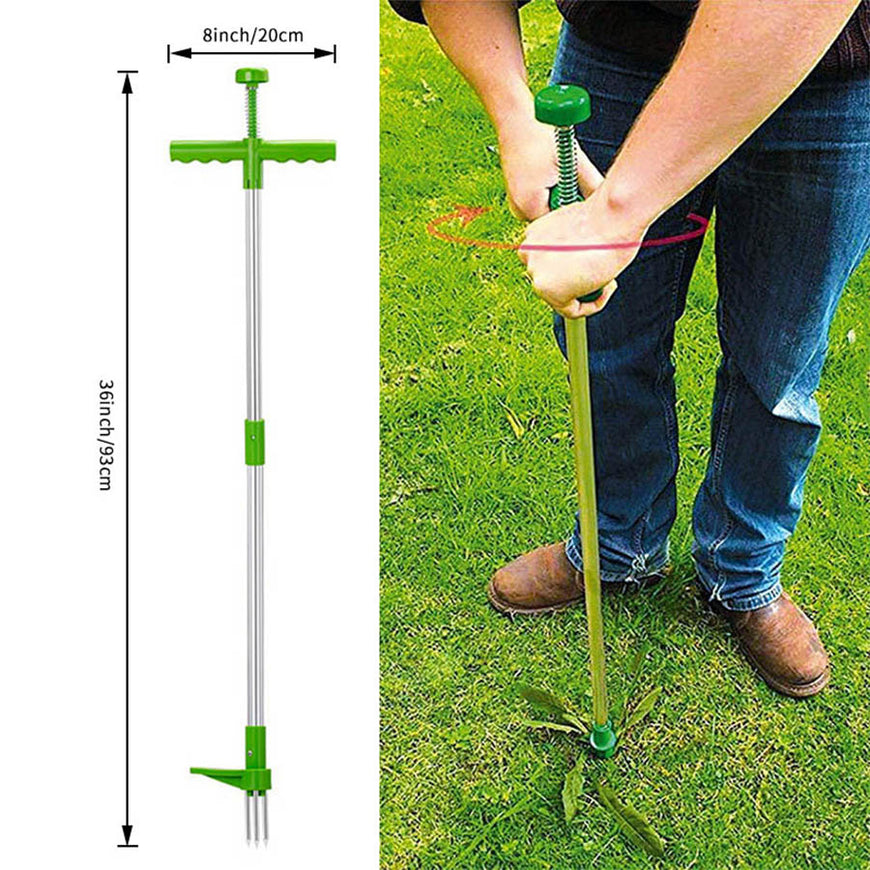 Long handled weed remover